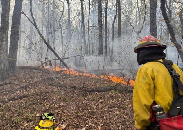 Firefighters across Cumberland Valley join battles against Michaux wildfires