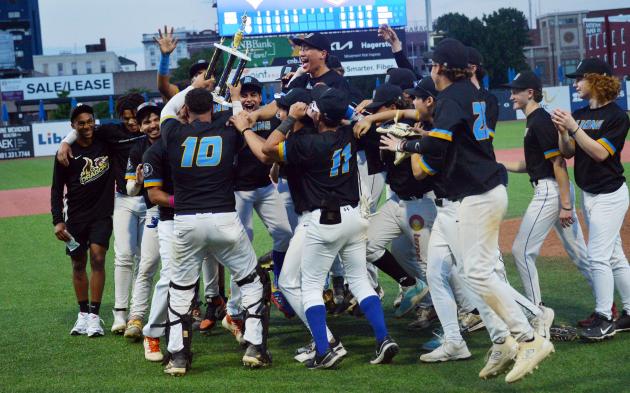 Broadfording finishes dominant MDCC baseball run with championship