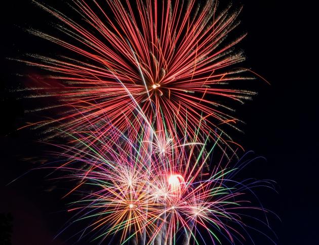 Humane Society shares fireworks safety tips for pets